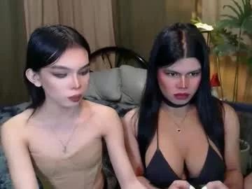 twinktransshanel from Chaturbate is Freechat