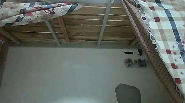 18lilicn webcams show profile image 