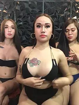 Customizable and immersive - Activate your taste buds and check-out our delicious choice of bondage cams streams with excited models getting their amazing bodies screwed with their beloved sex toys.