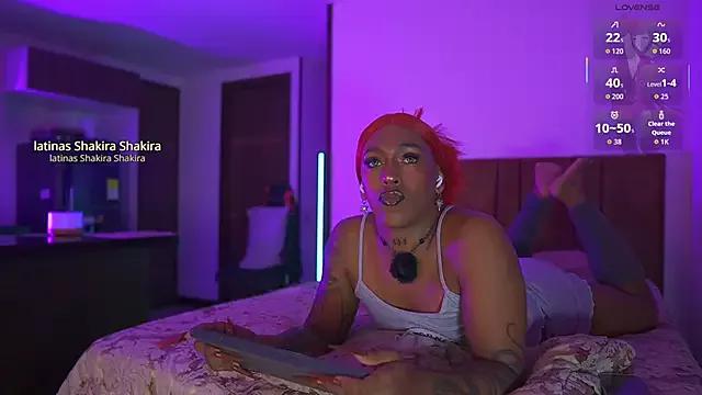 Customizable and immersive - Activate your taste buds and check-out our delicious choice of bondage cams streams with excited models getting their amazing bodies screwed with their beloved sex toys.