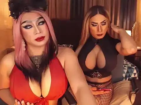 Customizable and immersive - Activate your taste buds and check-out our delicious choice of bondage cams streams with excited models getting their amazing bodies screwed with their beloved sex toys.