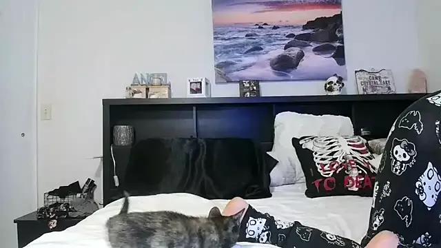 Customizable and immersive - Activate your taste buds and check-out our delicious choice of bondage cams streams with excited models getting their amazing bodies screwed with their beloved sex toys.