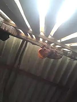 HotSexyBoudi from StripChat is Freechat