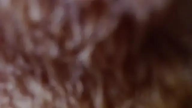 Isabella_Martin from StripChat is Freechat