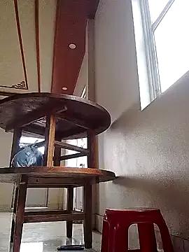 Lovely_xxx from StripChat is Freechat