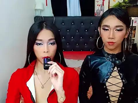 Customizable and immersive - Activate your taste buds and check-out our delicious choice of bondage cams streams with excited models getting their amazing bodies screwed with their beloved sex toys.