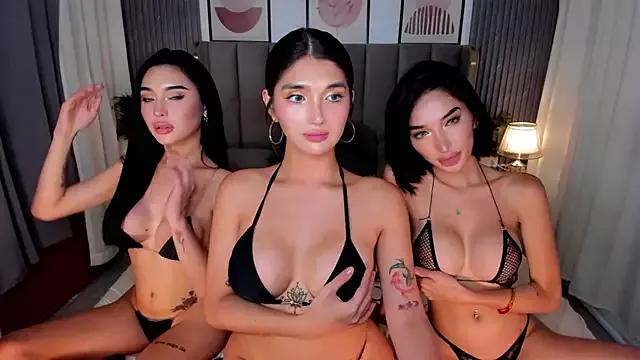 Customizable and immersive - Activate your taste buds and check-out our delicious choice of bondage cams streams with excited models getting their amazing bodies screwed with their beloved sex toys.