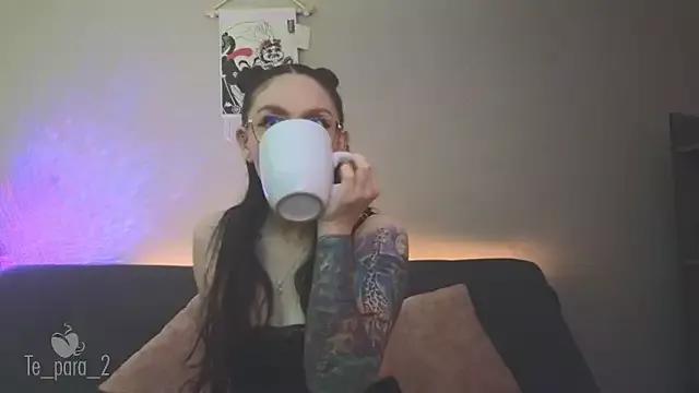 Te_para_2 webcams show profile image 