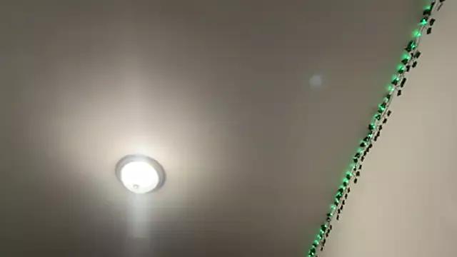 tinydaisy21 from StripChat is Freechat