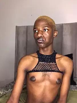 Trans_fairy from StripChat is Freechat