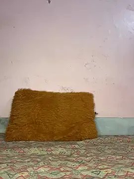 paribaby09 — Freechat on StripChat